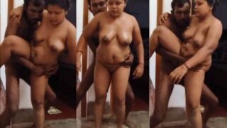 Desi woman and her skinny lover experience standing sex