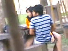 Desi Students Fucking in park Voyur Recorded