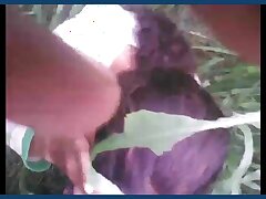 In jungle