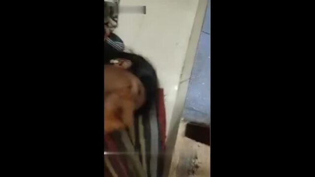 Shy Girl Bj to Lover shy sex video