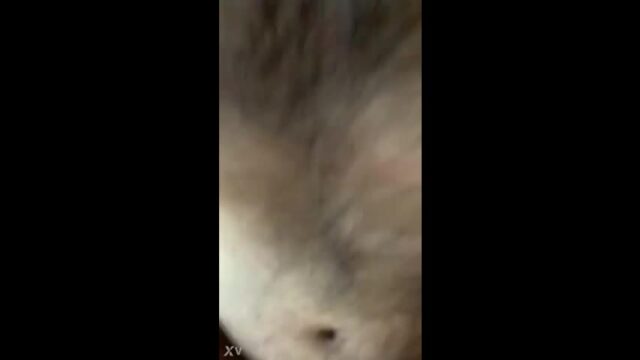 Sexy Indian girl Blowjob and Play with Lover Dick Part 2 dick sex video