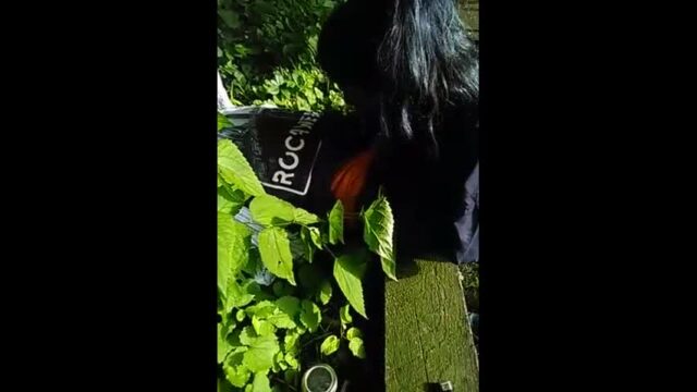 Sexy desi babe sucking huge cock in park while friend records cock sex video