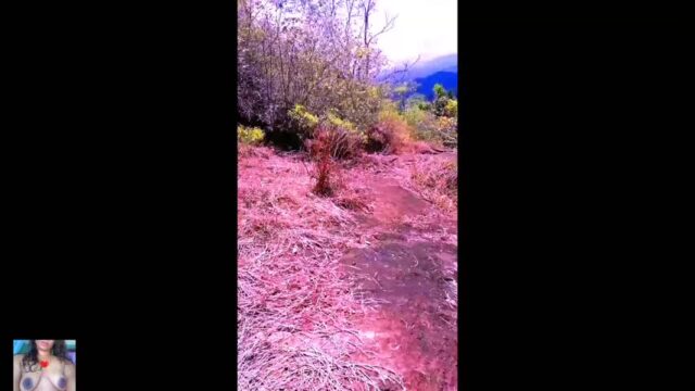 Risky Quick Public Sex in Jungle with Big Tits Girlfriend tits sex video