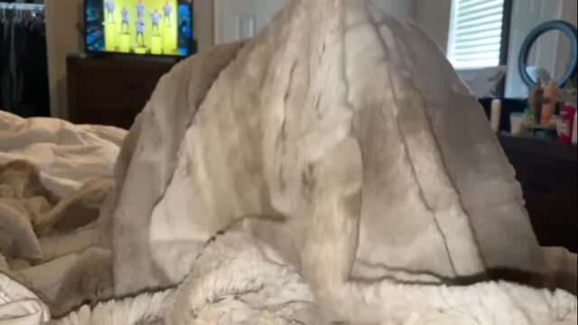 Pakistani wife sucks daddy