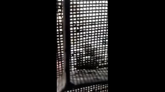 Paki Lover Fucking lover sex video