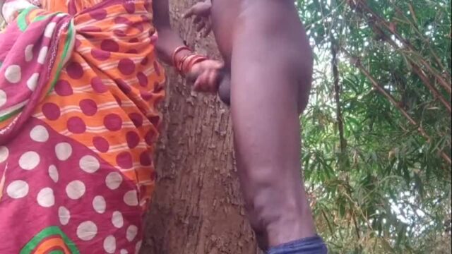 Indian Dever Bhabhi Forest dever sex video