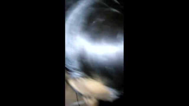 Desi girl shaveed Pussy fucked desi sex video