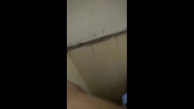 Desi Couple Fucking In Toilet couple sex video