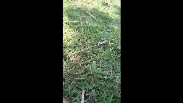 Desi Bhabhi Out Door Fucked desi sex video