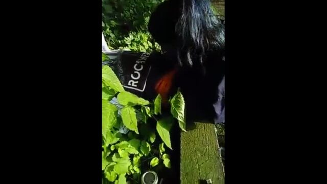 Daring Desi Mouthing in Park