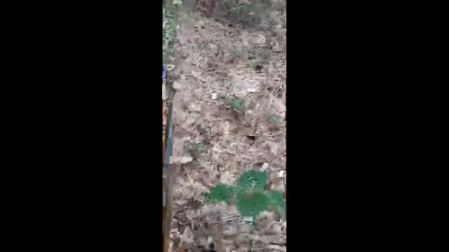 Bengali prostitute fucking outdoor