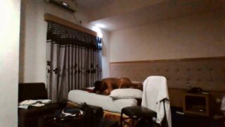 Indian Porn mms of horny Aunty fucked in missionary position