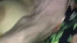 Assamese girl real deflowering with thick cock!
