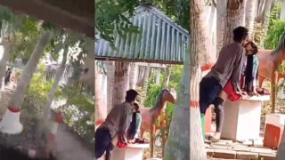 Public park desi college lovers fuck mms