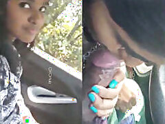 Beautiful Chennai babe gives me a blowjob on the highway