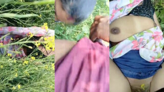 खेतों की हरियाली में भाभी ने चूत का मजा दिया
